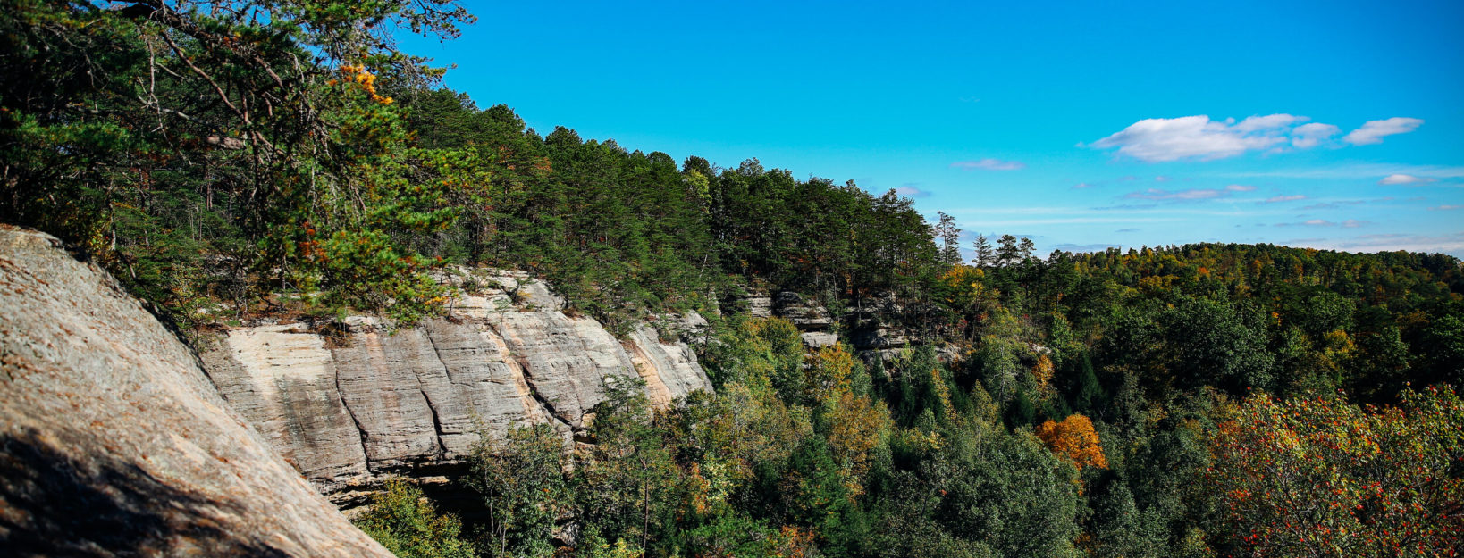Sandstone cliffs, sky and trees at the Red River Gorge