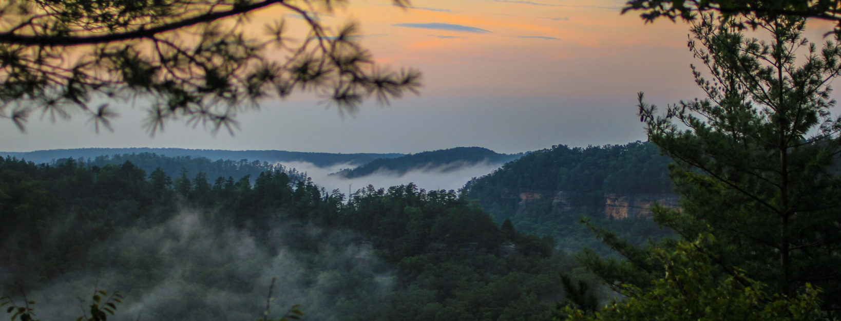 Early sunrise looking across Red River Gorge with fog hanging over valleys